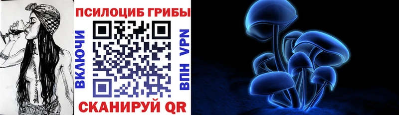 Купить где  Игарка  Галлюциногенные грибы мицелий 